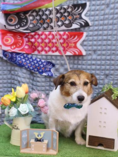 20230530こはるちゃん